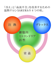 全ての根源原因は“冷え”にあるという考え方